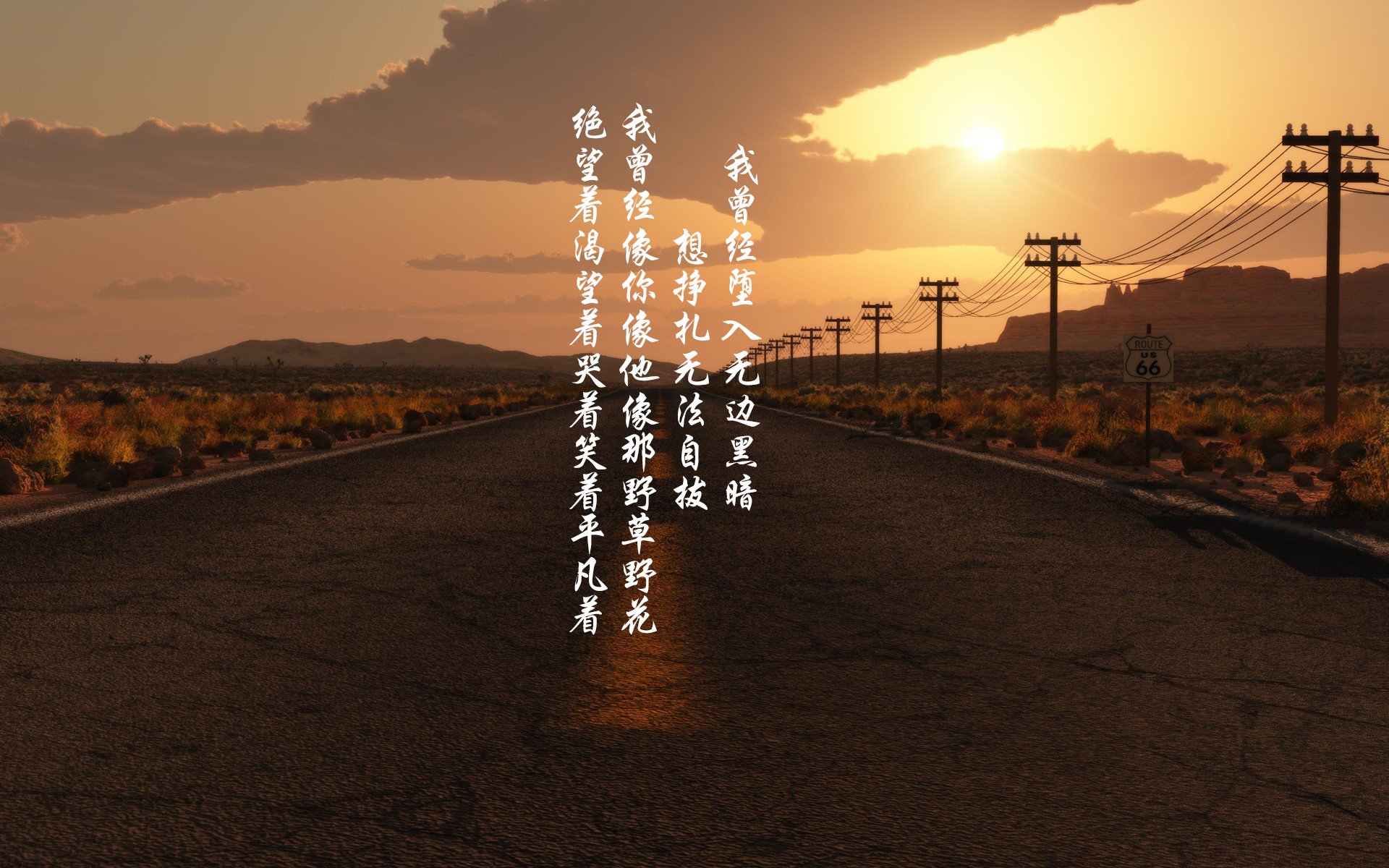 “飞盘争夺：三叉湖田径场迎来世界级飞盘竞技盛宴”
