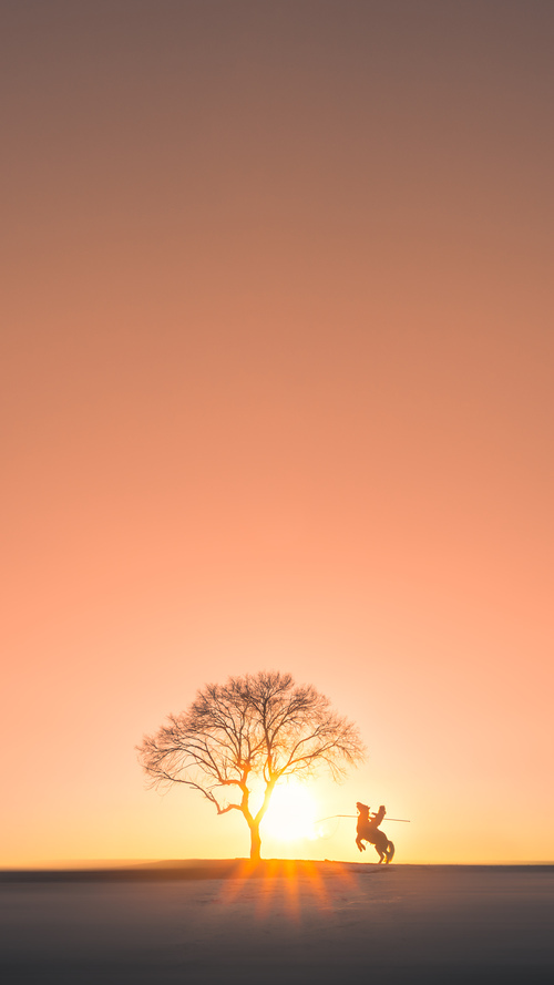 前场球员跑动轨迹是否直接影响中场组织视角,前场球员跑动轨迹是否直接影响中场组织视角