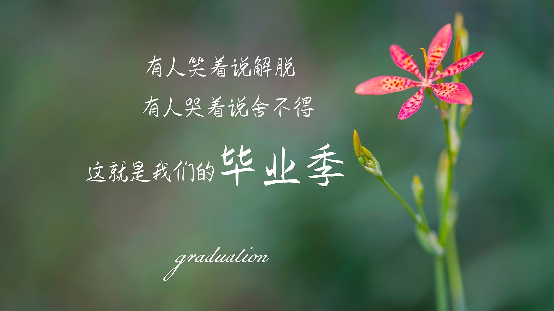 中超比赛视频集锦上线助力战术复盘效率提升,中超官方集锦