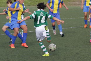 九游网页版官网-国际足球协会推动足球全民普及，青少年参与度飙升，各国青少年足球注册人口