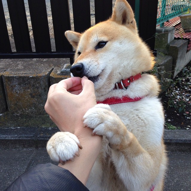 村超联赛成为基层体育文化建设重要组成部分