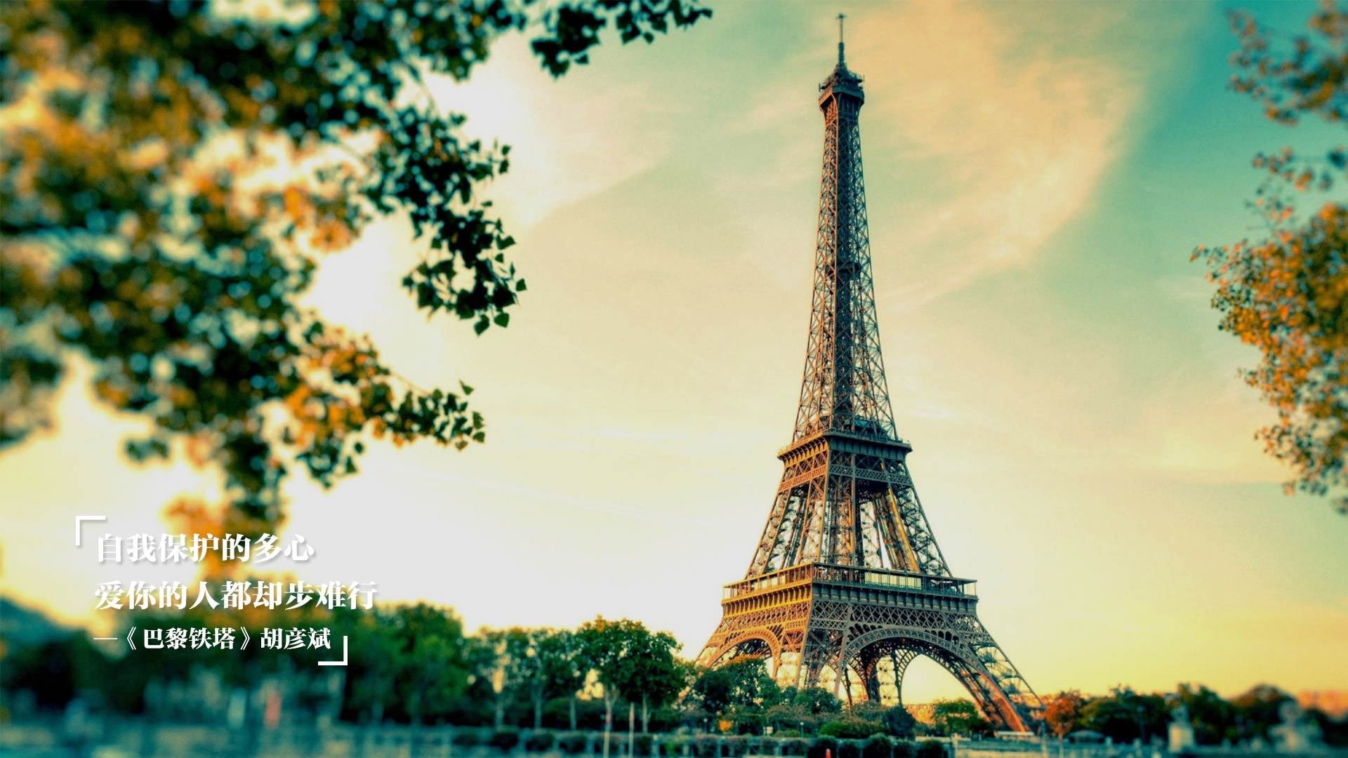 九游娱乐官网 (JIUYOU)-澳大利亚袋鼠队的快速进攻始终保持高效性，澳大利亚袋鼠强壮