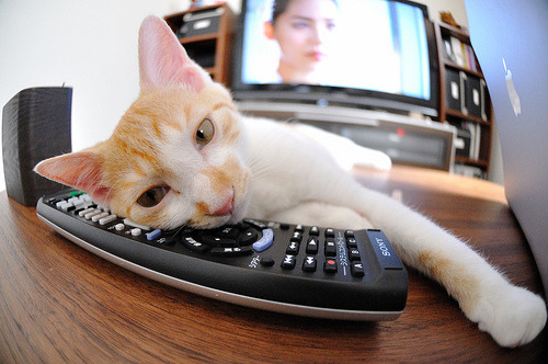 科特迪瓦男篮在非洲锦标赛中表现稳定,冲击历史最佳成就,科特迪瓦男篮vs中国男篮视频