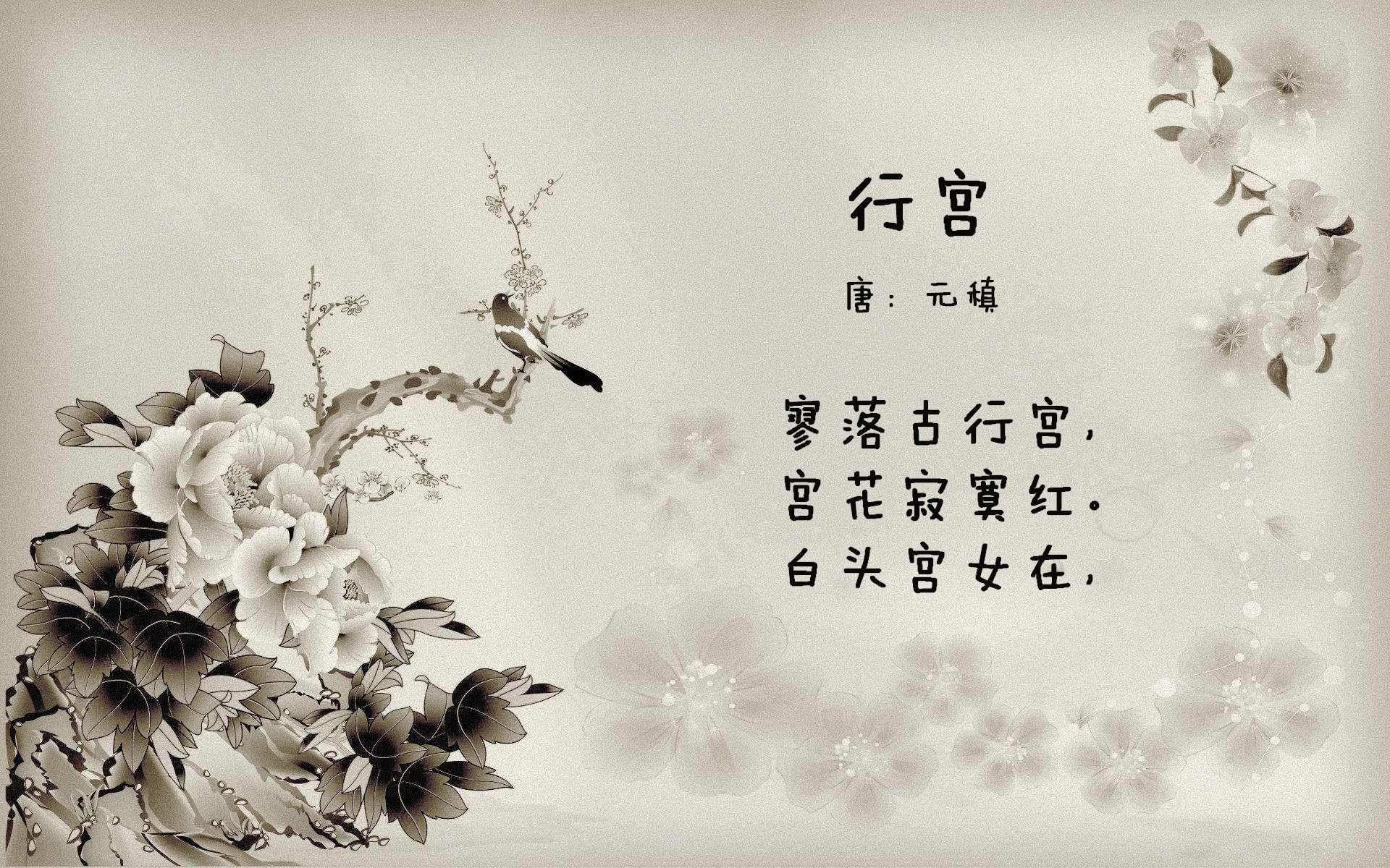 九游电脑版-美洲杯激战激烈：明星纷纷亮相！，美洲杯现场观众