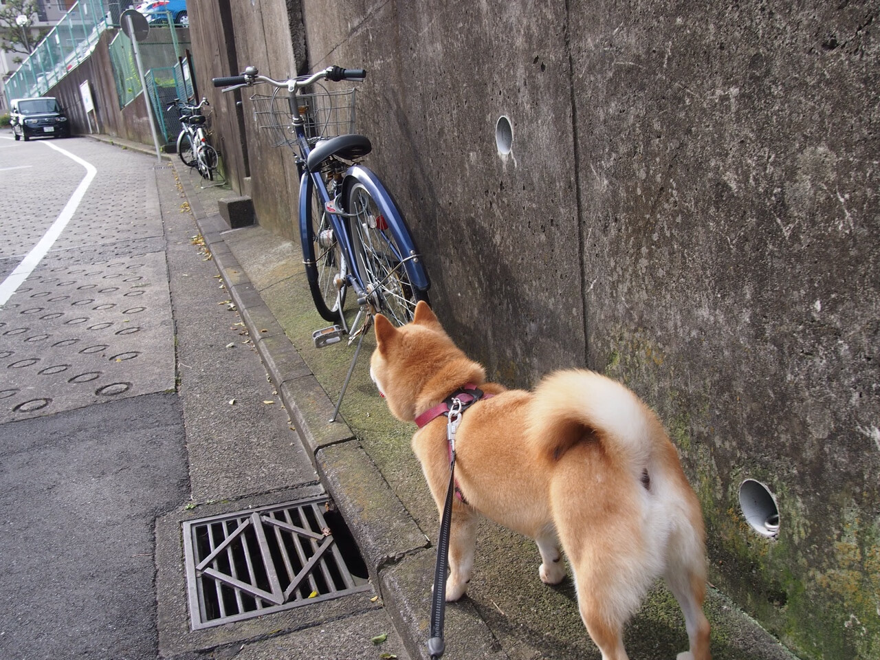 九游-西甲破门瞬间：天王的惊艳绝技，西甲射门排名