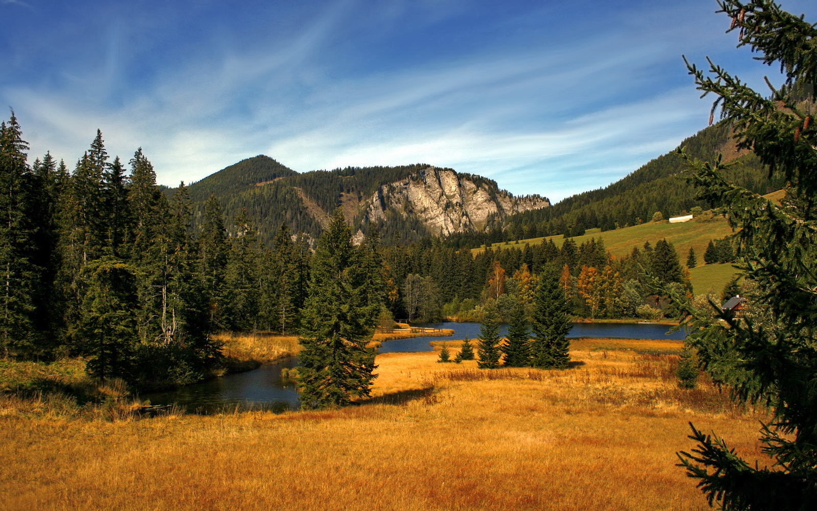 詹姆斯·奥康纳展现出成熟球商,助力袋鼠队锁定胜利,詹姆弗康纳利照片