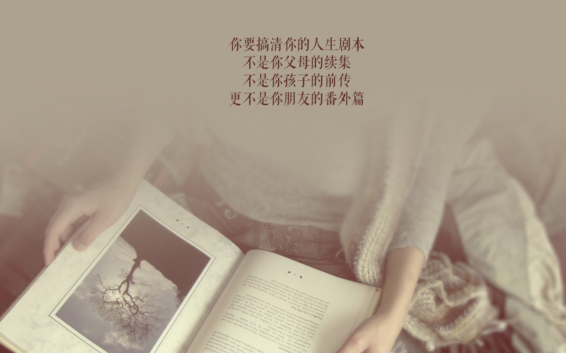职业篮球裁判员执法培训体系，职业篮球裁判员执法培训体系包括